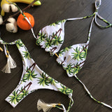 Brazilian Push Up Bikini